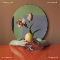 A vase with simple flowers, held by hands coming from either side of a mirror.