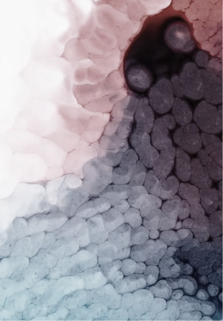 Collaboration tools for the way you work