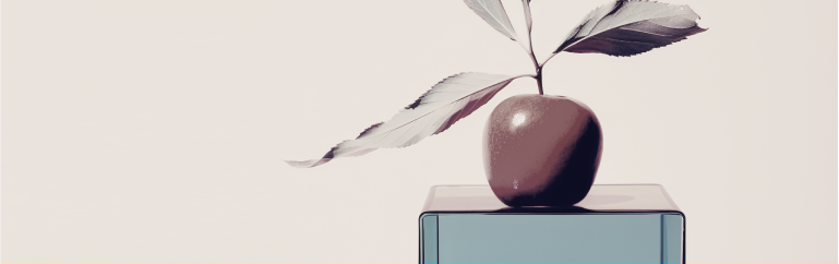 Dedicated creative success manager